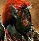 Arakhor